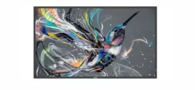 Профессиональный дисплей Philips 65BDL3511Q/00